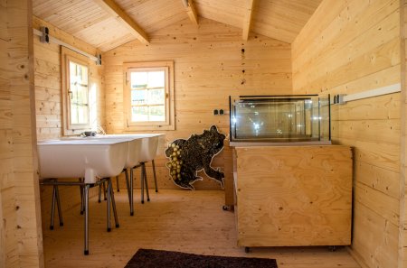 Amphibienzuchtstation in Modexen